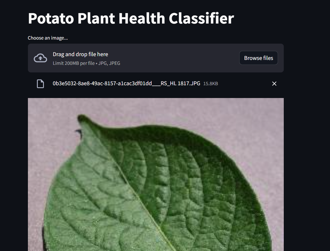 Potato Plant Health Classifier